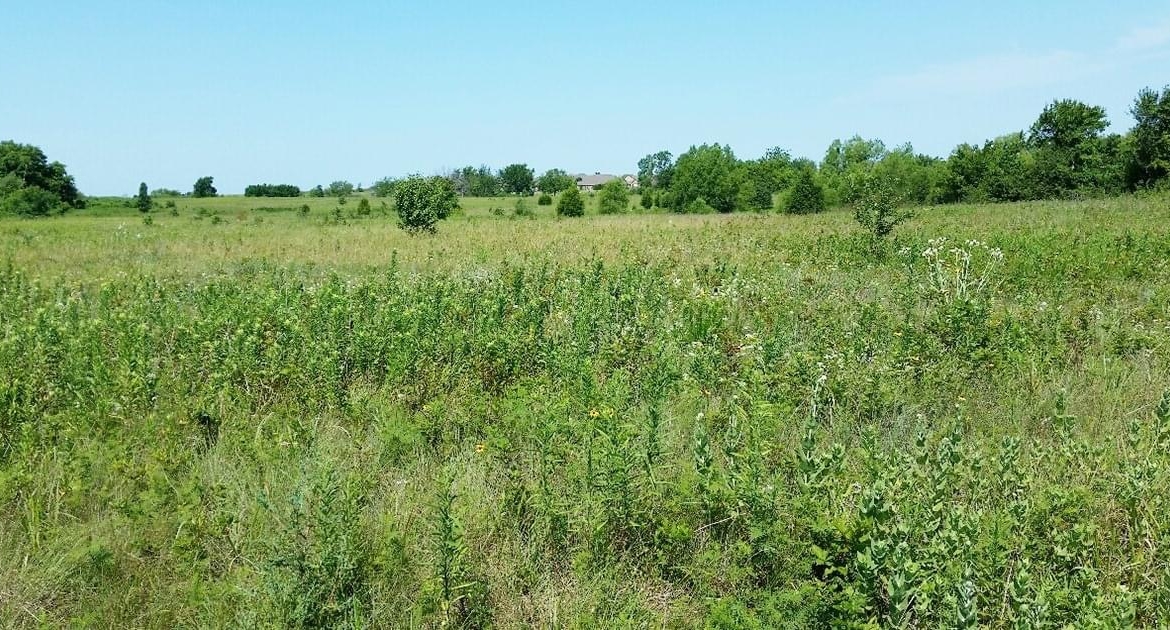 Cross Timbers Land Development Property for Sale in Collinsville, OK