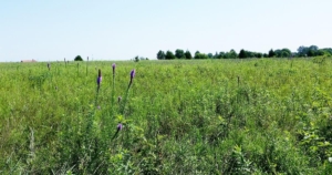 Development property for sale