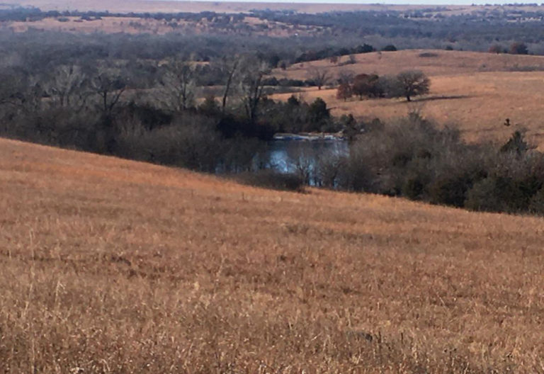 Picture1 Cross Timbers Land
