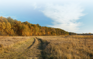 About Cross Timbers Land for sale in Oklahoma