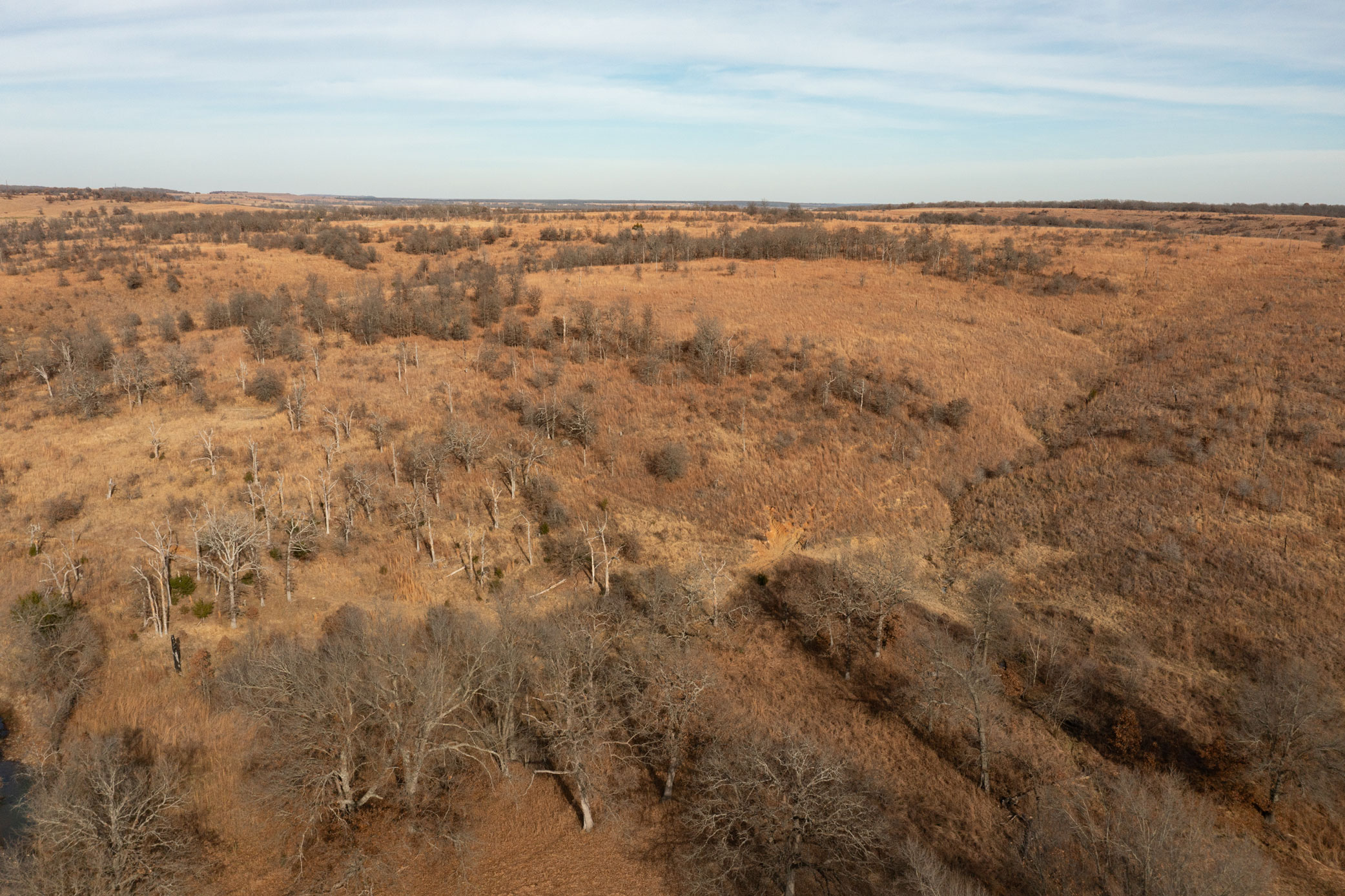 Raw land for sale near Sedan Kansas