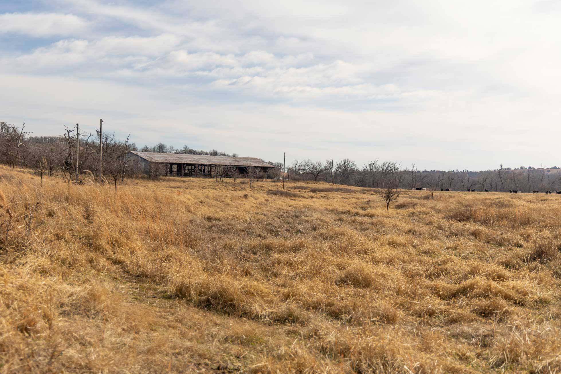 332 Acres of raw land near Sedan Kansas
