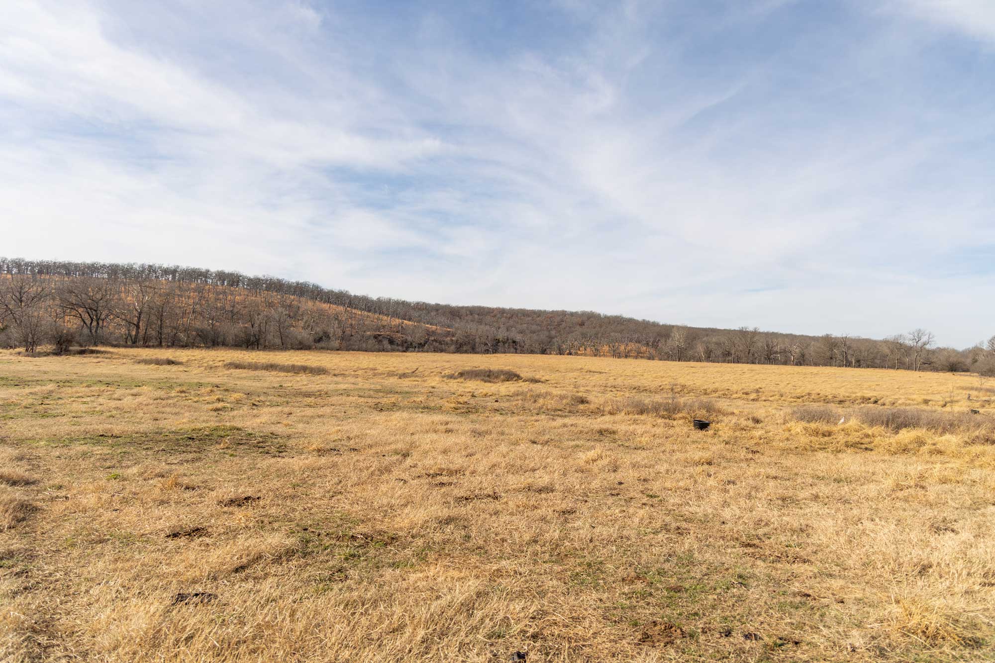 332 Acres of raw land near Sedan Kansas