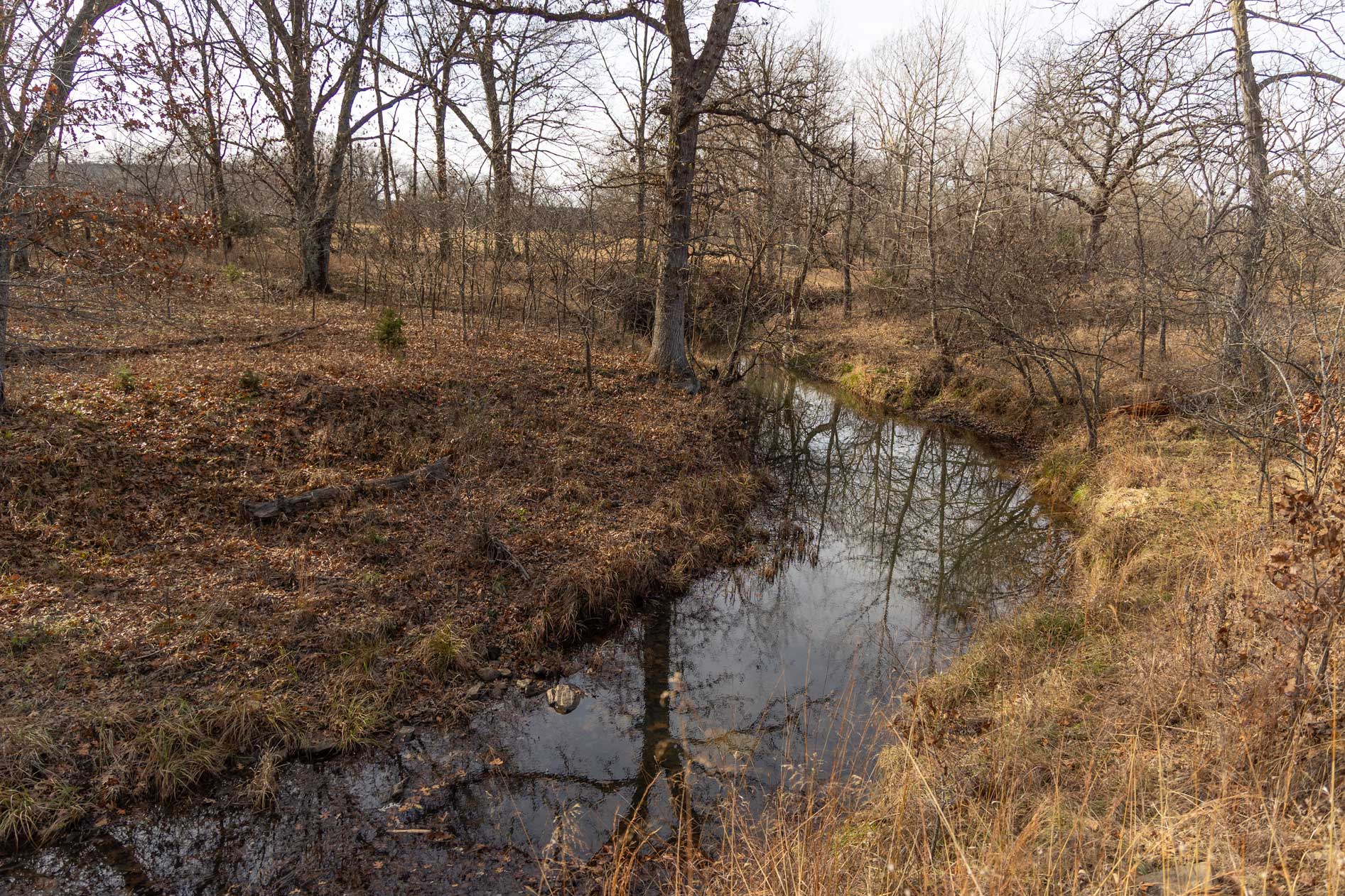332 Acres of raw land near Sedan Kansas