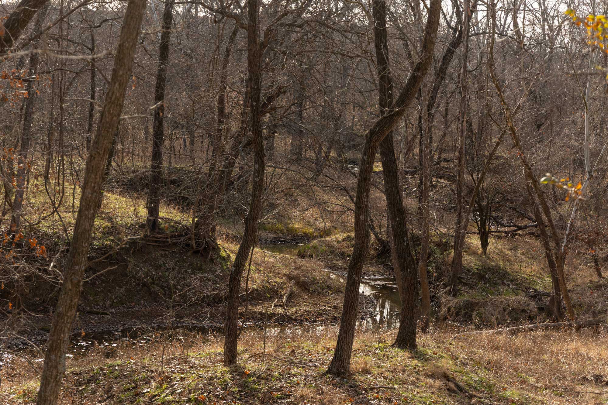 332 Acres of raw land near Sedan Kansas