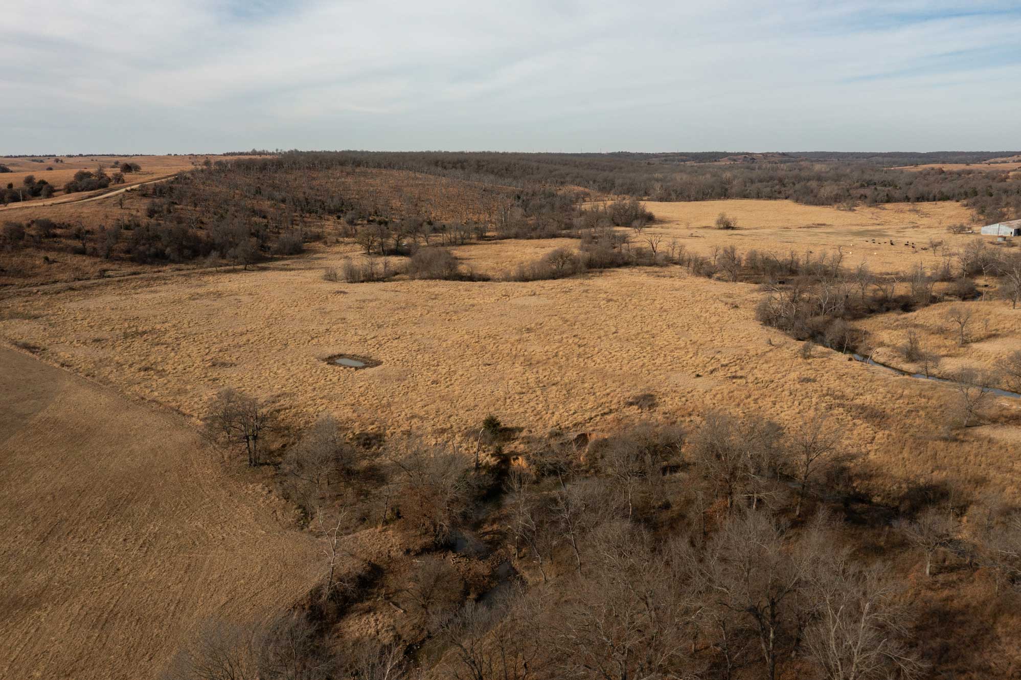 332 Acres of raw land near Sedan Kansas